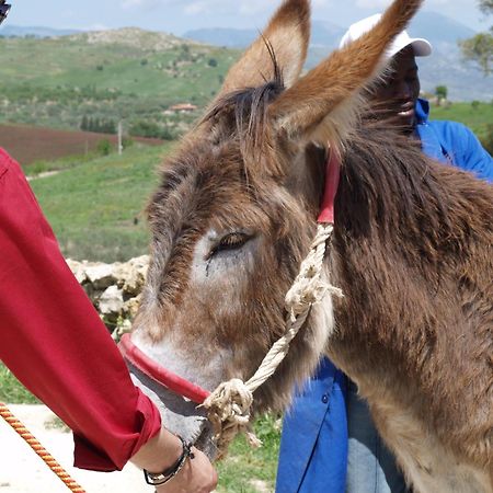 הוילה Aragona Ciuci'S Manor מראה חיצוני תמונה